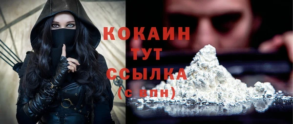 ешки Мегион