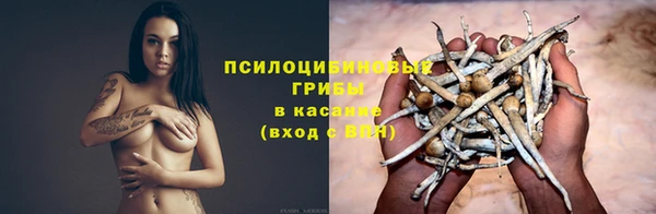кокс Медвежьегорск