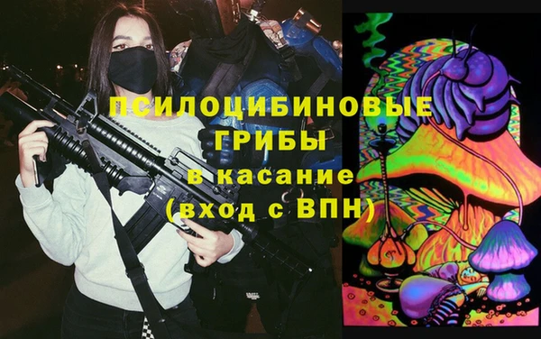 ешки Мегион
