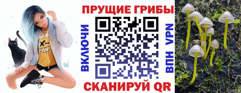 Галлюциногенные грибы Cubensis  Купить закладки  Миньяр 