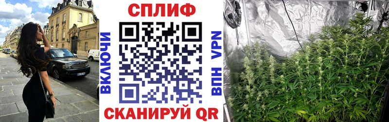 Шишки марихуана THC 21%  Купить где  Миньяр 